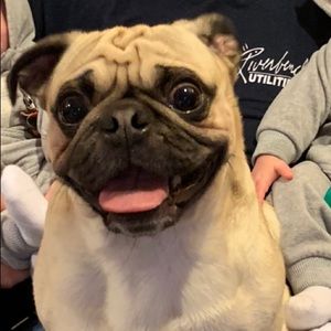 Meet your Posher, Rhonda